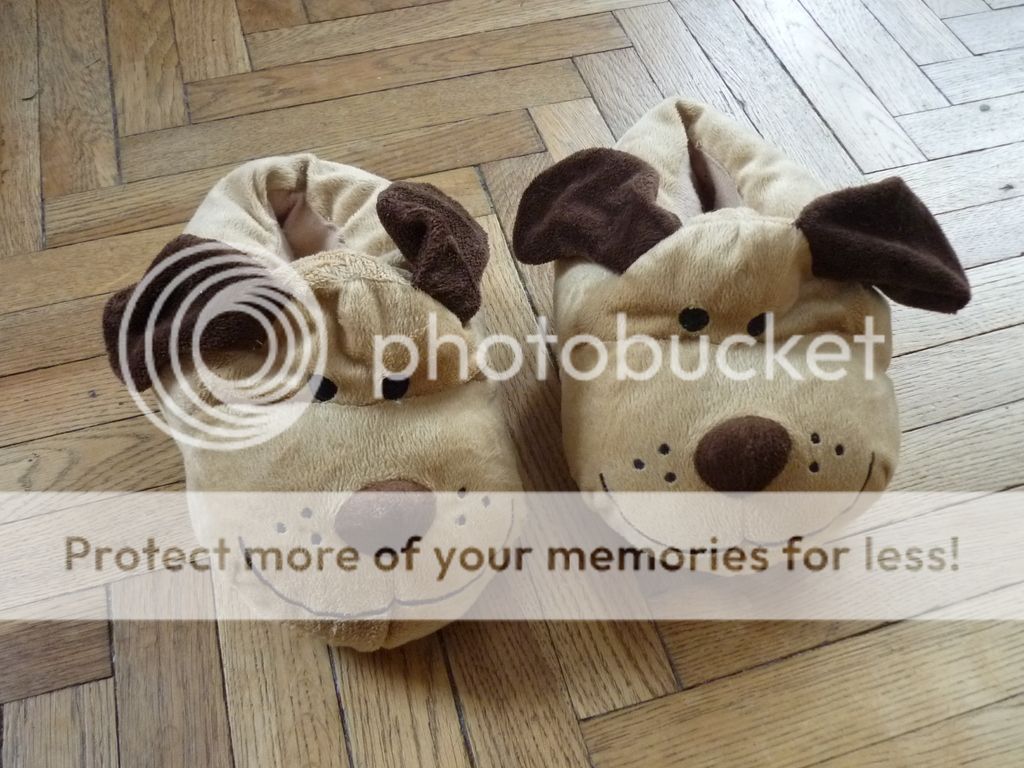 photo P1160178_zpsjjbfmpoj.jpg