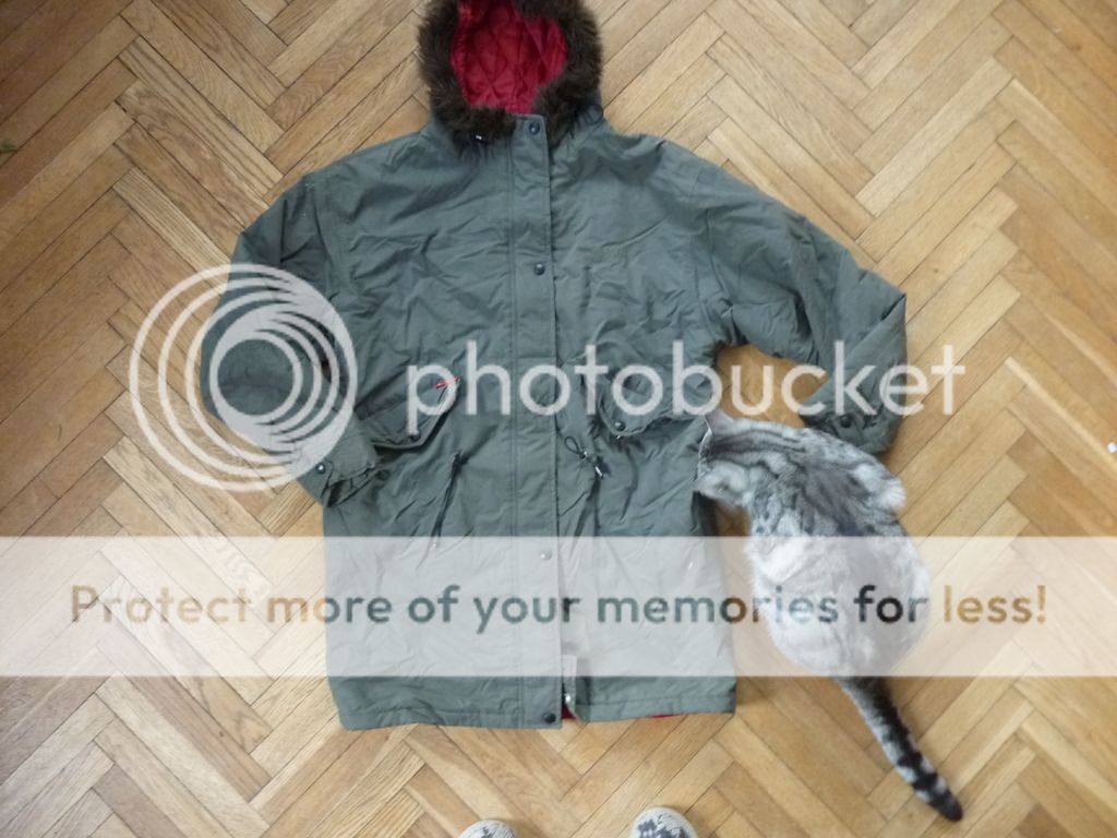 photo P1160183_zpsm4tuqml5.jpg