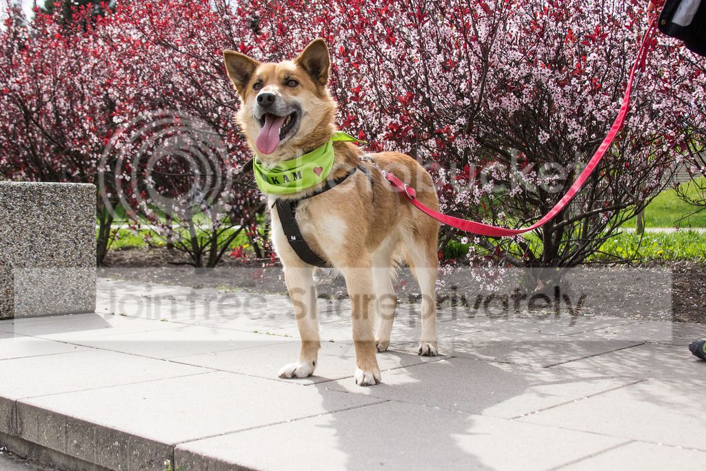 photo IMG_4732_zpsf3a5reta.jpg