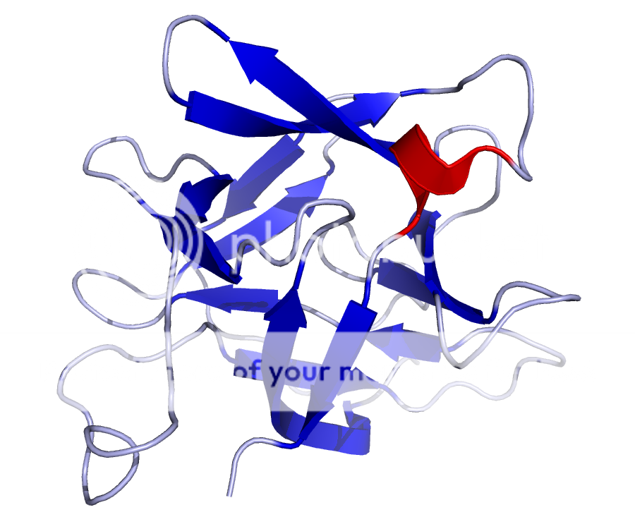 Figure 1: This is the structure of Interleukin-18 protein.