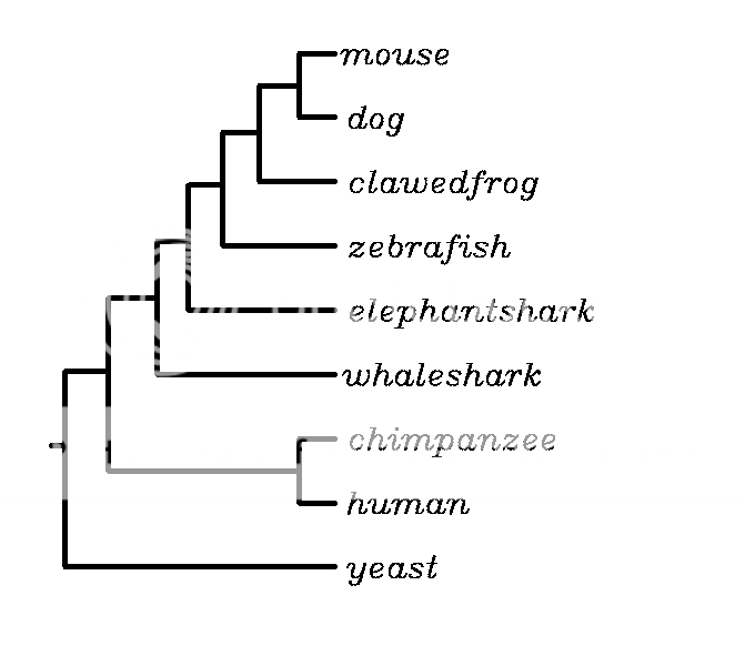 external image Screen%20Shot%202015-04-14%20at%2012.06.07%20PM_zpszfehra3f.png