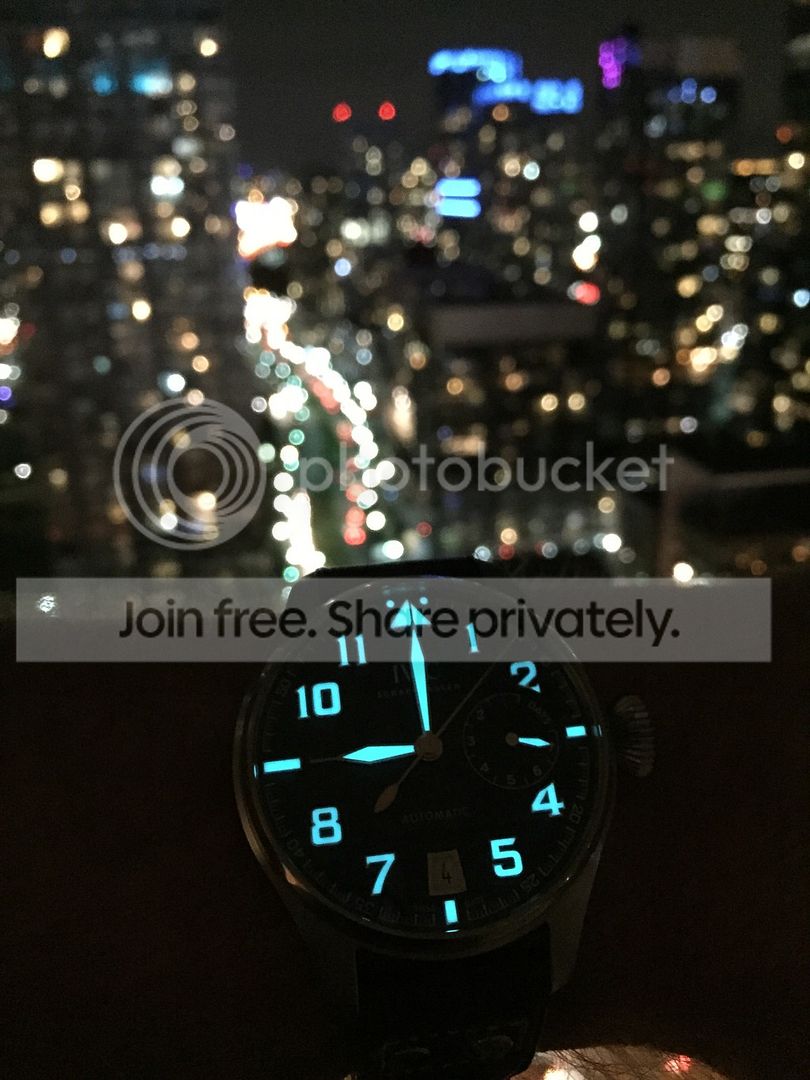 i375.photobucket.com/albums/oo196/noiseorchard/image_zps6yg75czg.jpeg~original