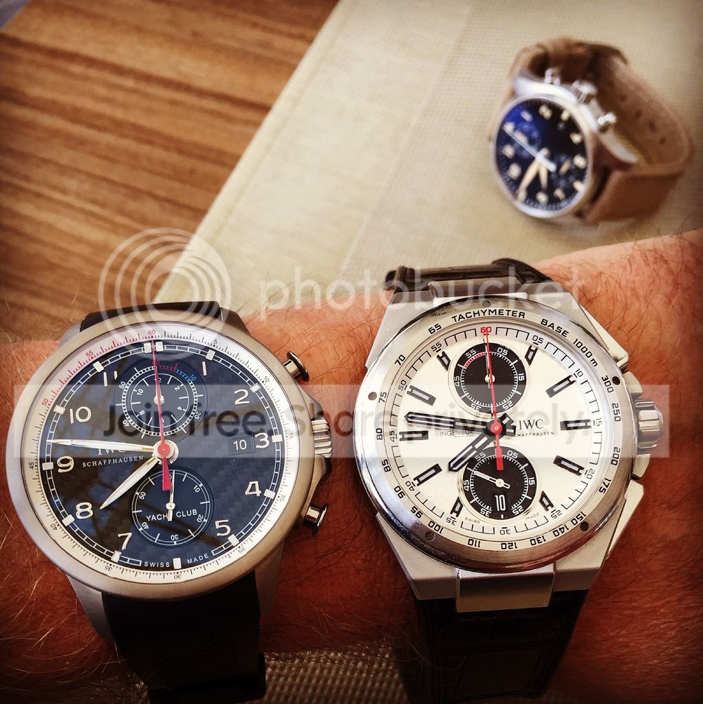 i375.photobucket.com/albums/oo196/noiseorchard/image_zps8okedsio.jpeg~original