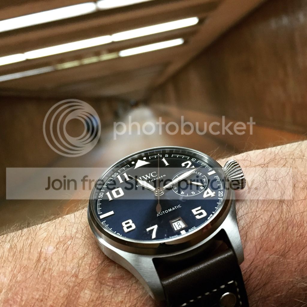 i375.photobucket.com/albums/oo196/noiseorchard/image_zpskcthb4f0.jpeg~original