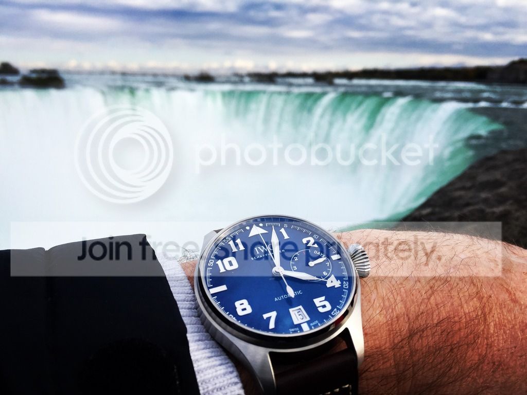 i375.photobucket.com/albums/oo196/noiseorchard/image_zpsuecyrqjj.jpeg~original