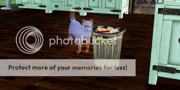 photo Sims2EP9 2015-03-22 18-13-49-57.png