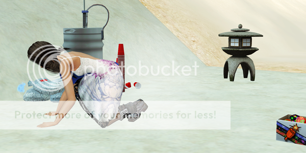 photo Sims2EP9 2015-03-29 14-58-41-50.png