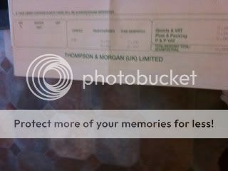 photo1-1.jpg