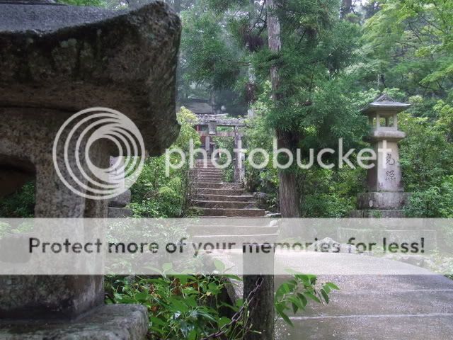 http://i375.photobucket.com/albums/oo199/riq-et-fab-injapan/15-09-2008%20-%20Miyajima/DSCF4867.jpg