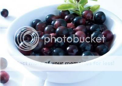 Acai Berries